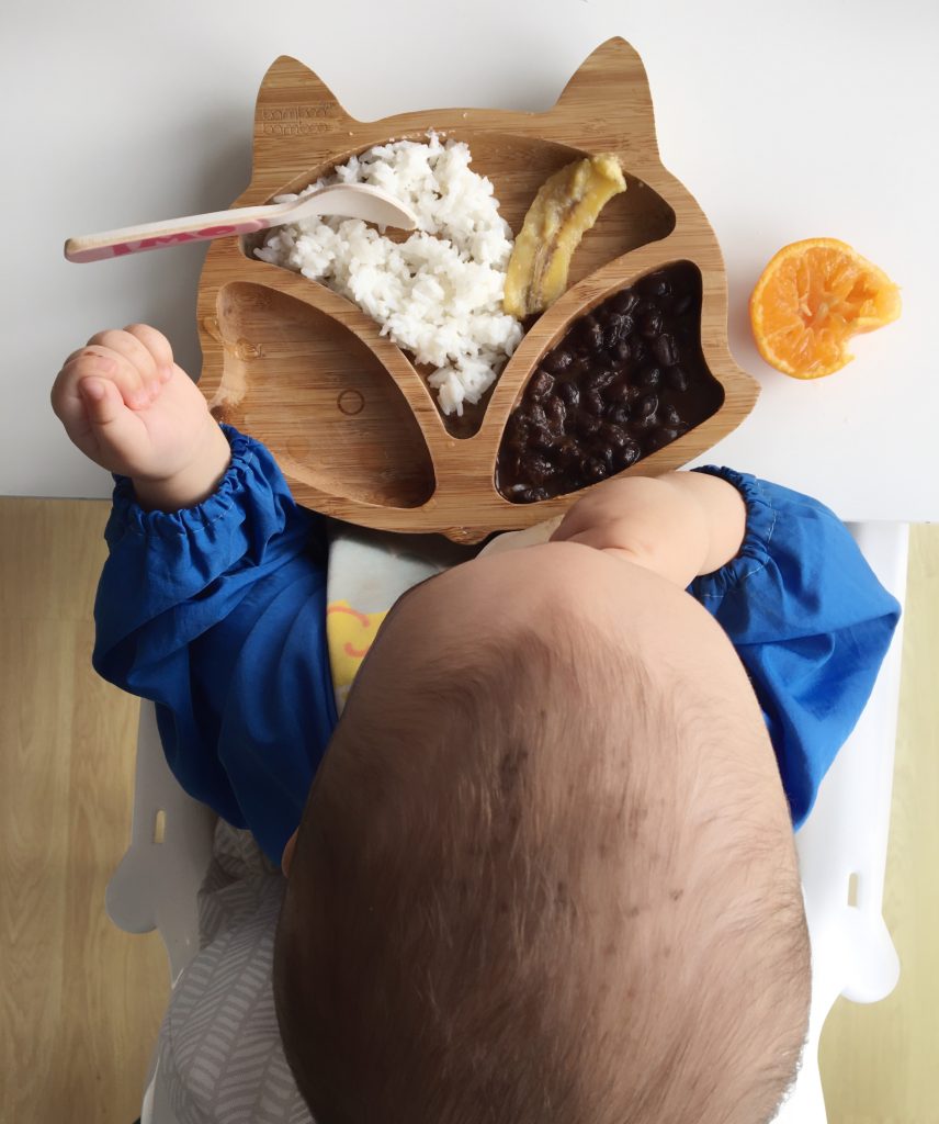 baby led weaning